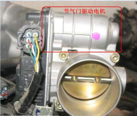 電子節氣門的作用 電子節氣門系統